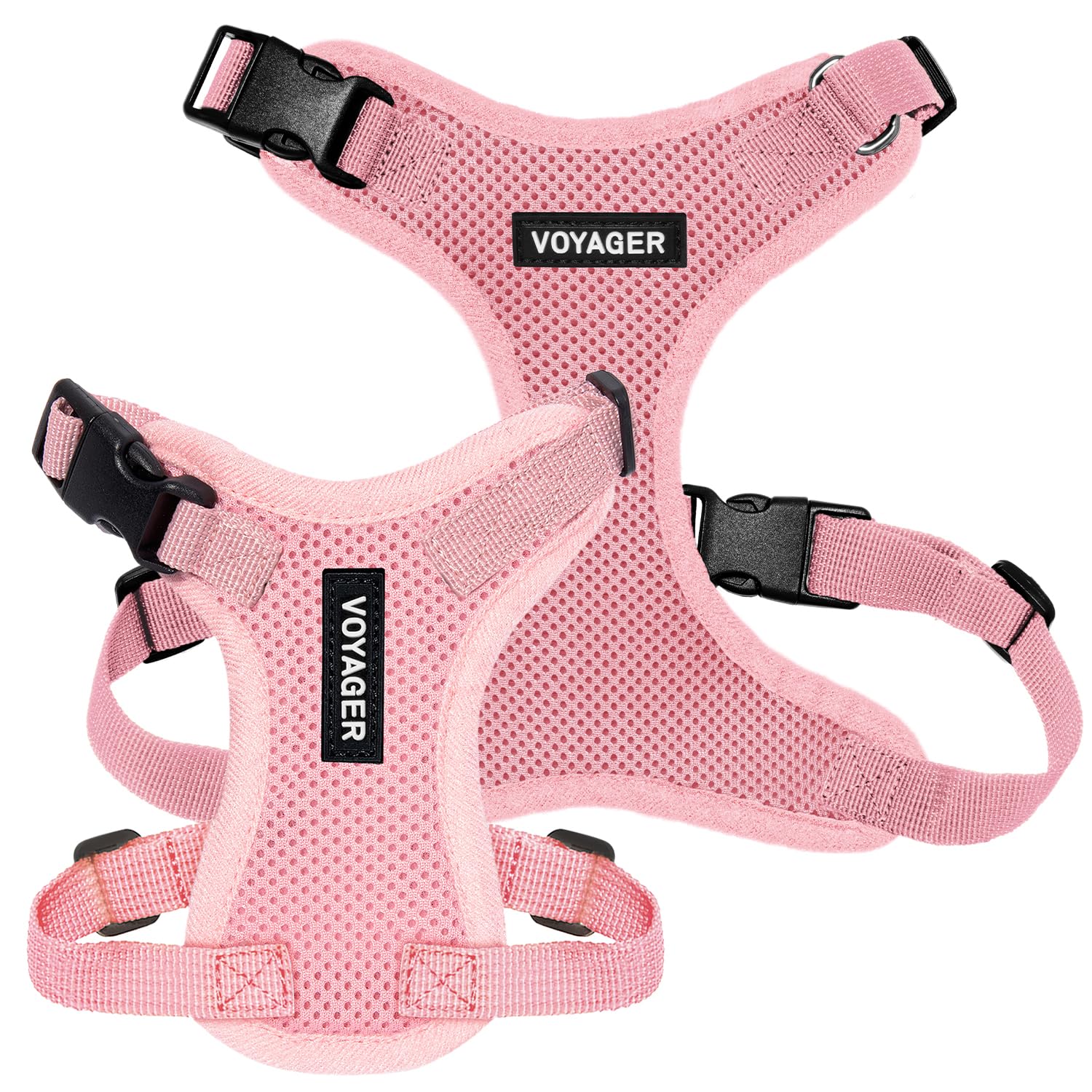 Best Pet Supplies harnais porté sur petit chien pour ajustement et confort