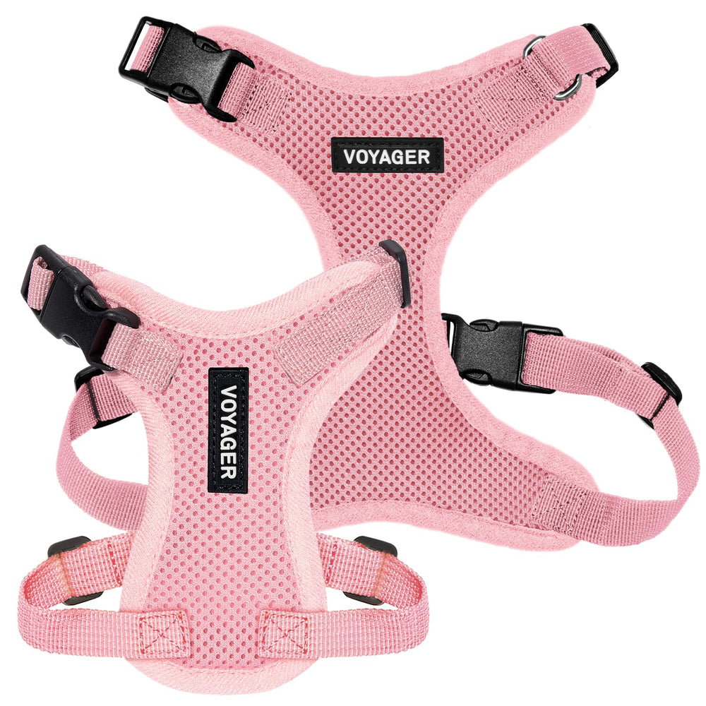 Best Pet Supplies harnais porté sur petit chien pour ajustement et confort