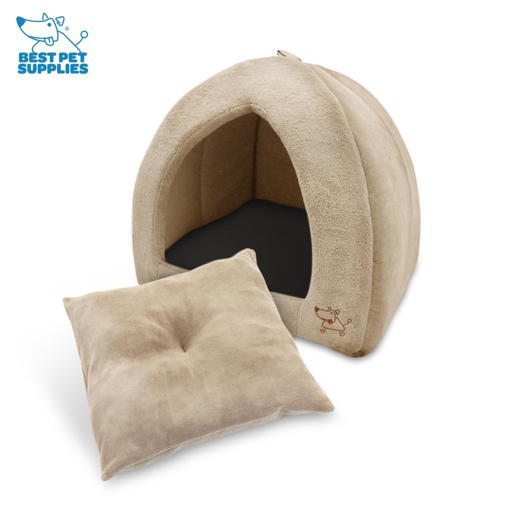 Best Pet Supplies chat endormi dans la maison montrant sécurité