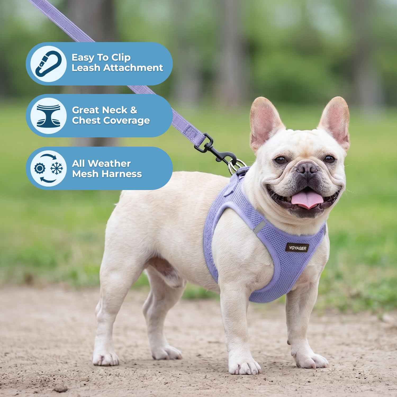 Best Pet Supplies laisse 5ft avec poignée néoprène offrant prise confortable