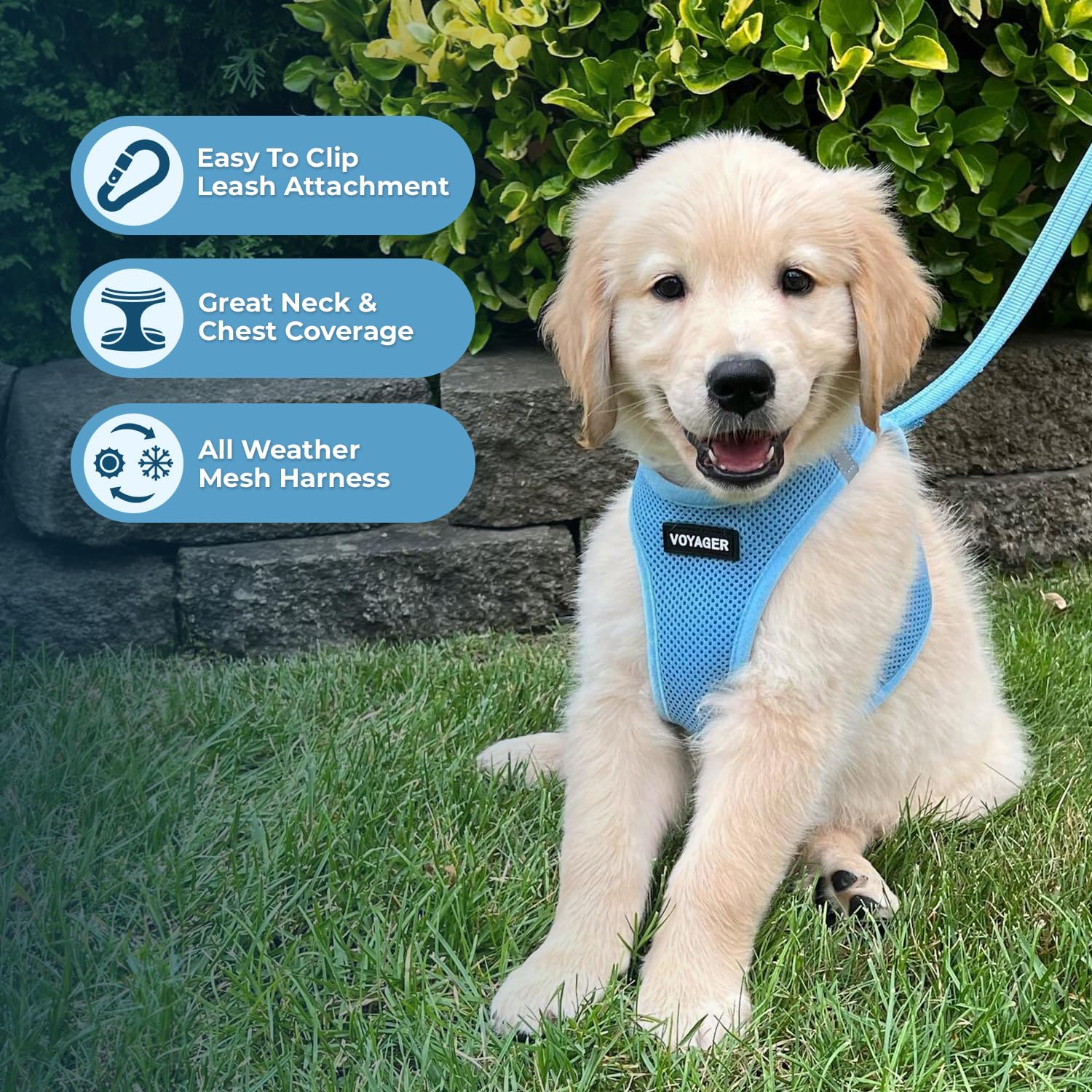 Best Pet Supplies laisse poignée néoprène pour prise en main confortable