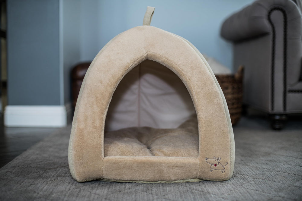 Best Pet Supplies dans un salon montrant intégration décorative