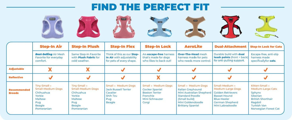 Best Pet Supplies harnais en situation de promenade au parc pour usage quotidien