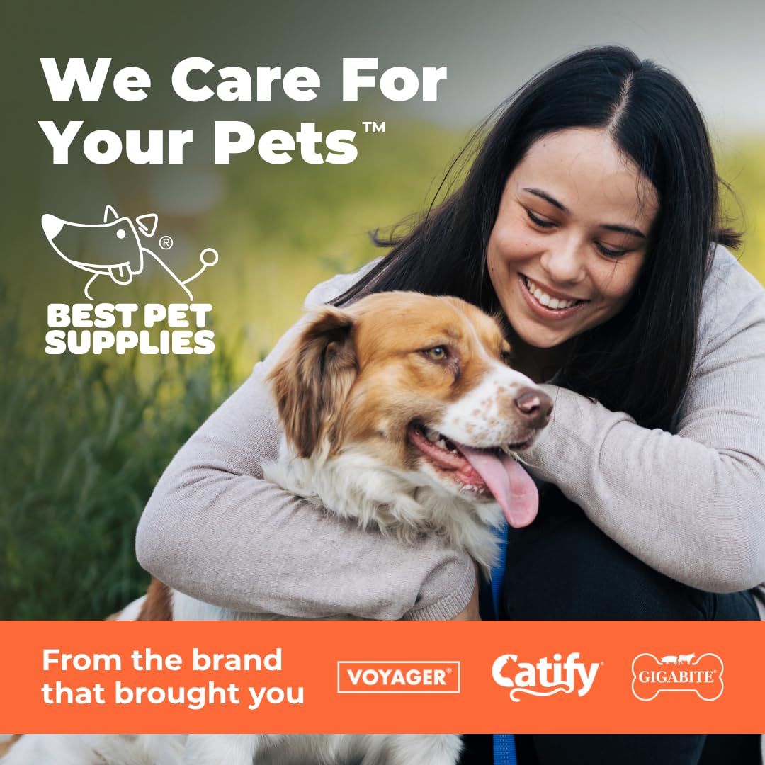 Best Pet Supplies Mrs. Cluck présenté avec autres peluches de la collection pour variété