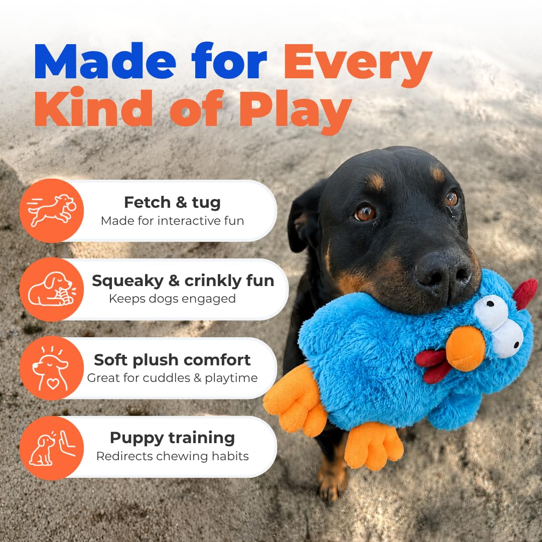 Best Pet Supplies Mrs. Cluck chien jouant en extérieur renforçant l'activité physique
