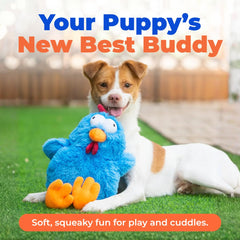 Best Pet Supplies Mrs. Cluck gros plan sur texture peluche douce pour confort dentaire
