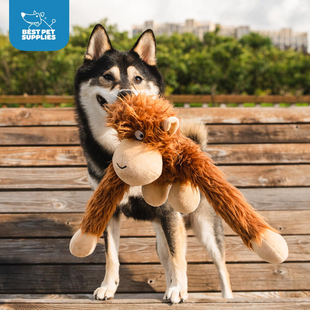 Best Pet Supplies O-Hug-Atan détail étiquette montrant qualité et informations produit