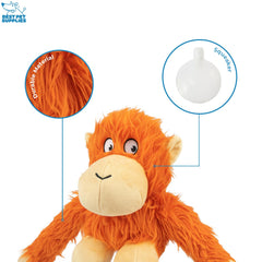 Best Pet Supplies chien jouant avec O-Hug-Atan, encourage le rapport