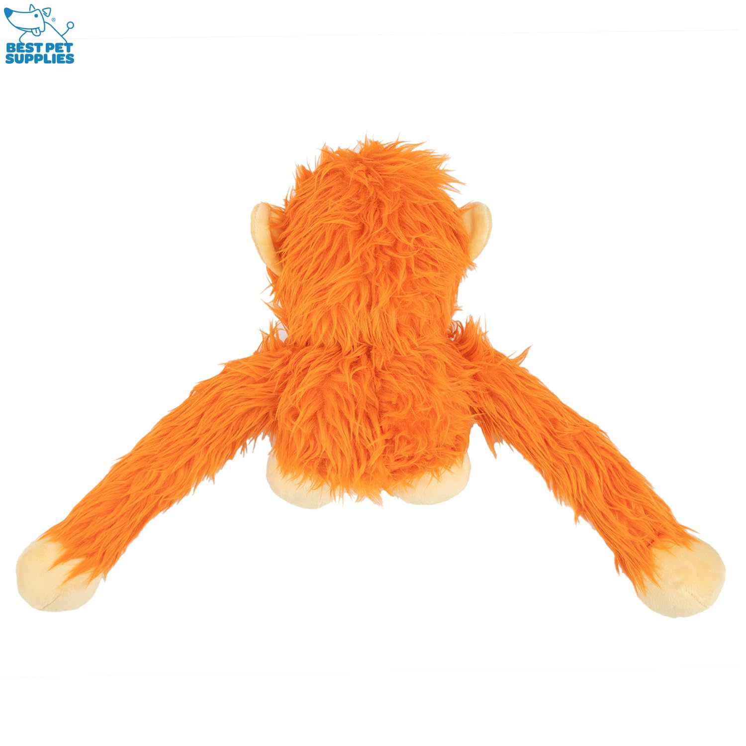 Best Pet Supplies gros plan sur la texture résistante, protège les dents