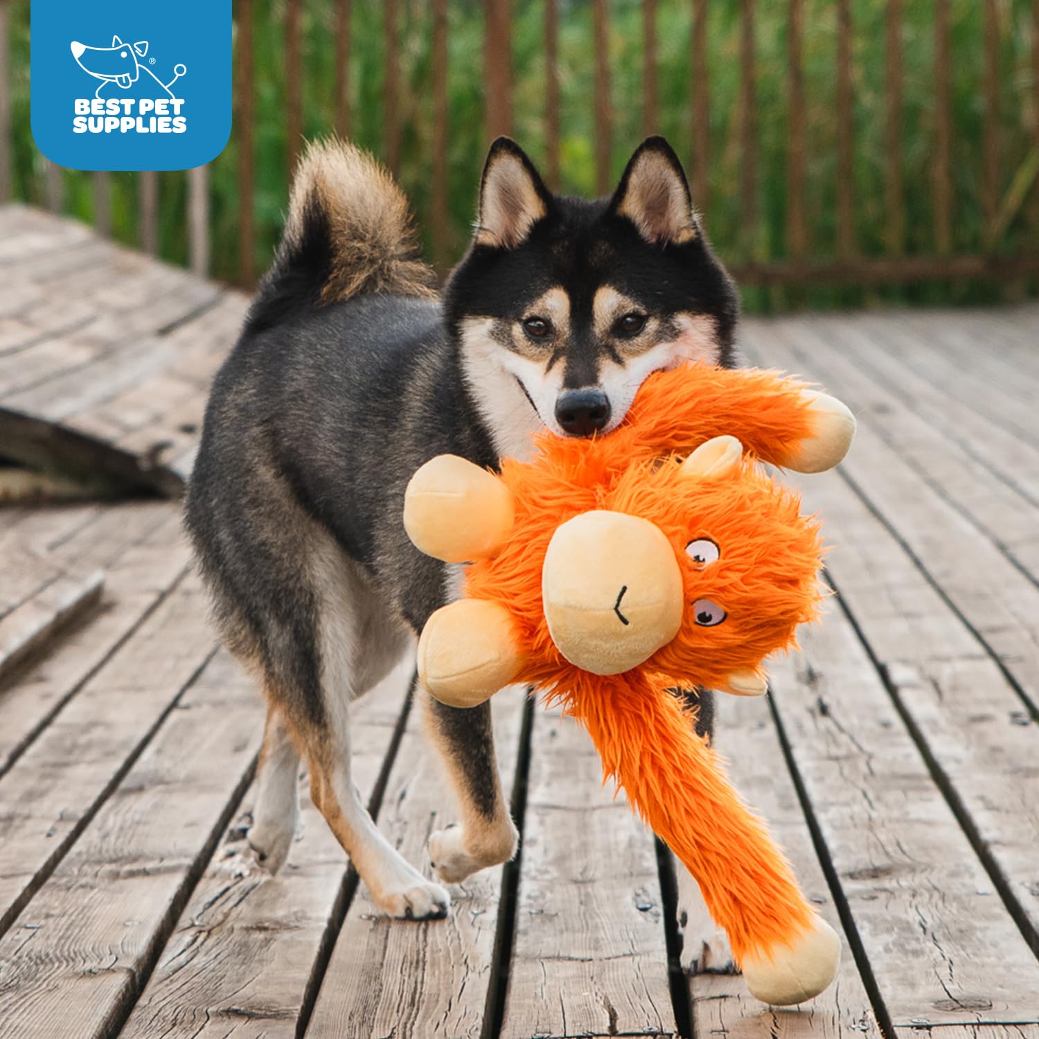 Best Pet Supplies zoom sur le sifflet intégré, stimule le jeu