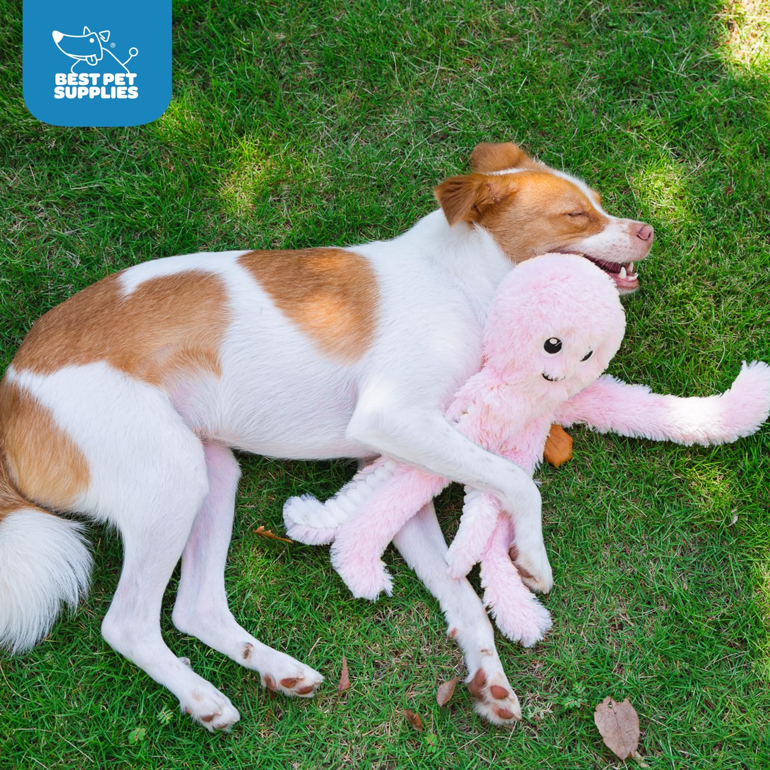 Best Pet Supplies octomutant détail étiquette montrant consignes et sécurité