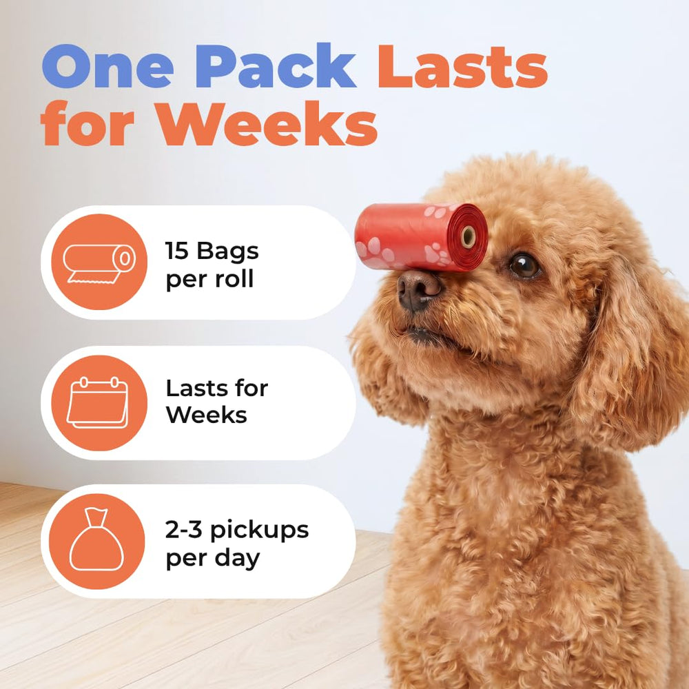 Best Pet Supplies comparaison taille main, montre dimension réelle