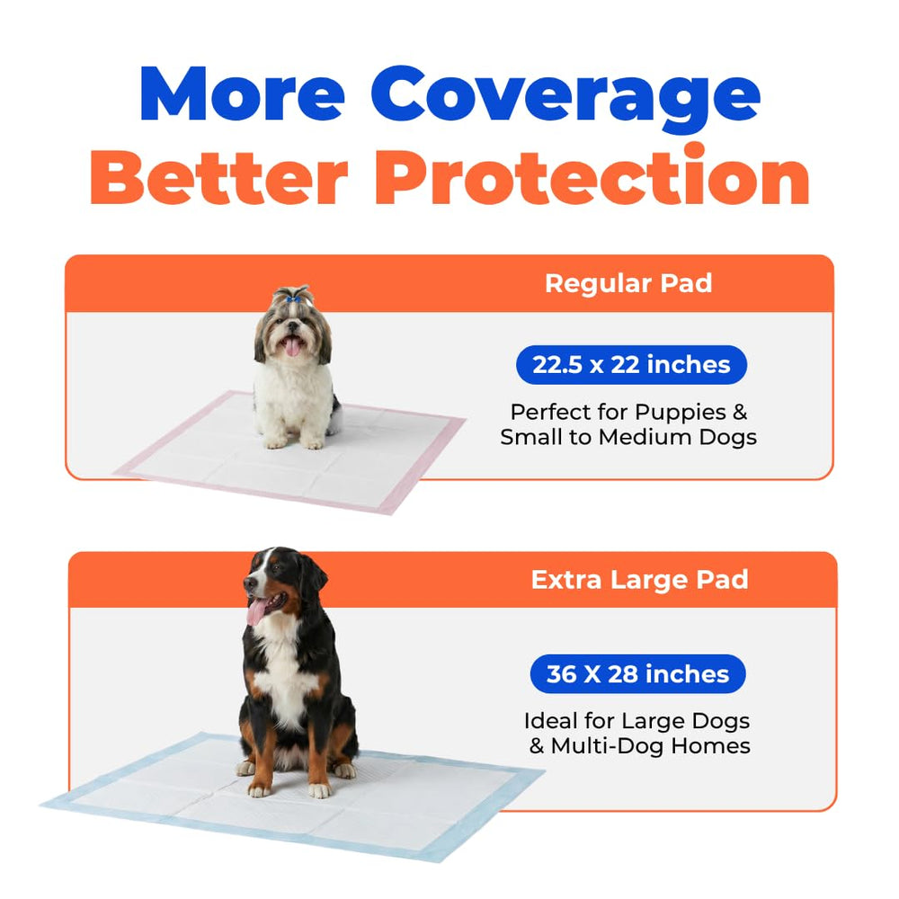 Best Pet Supplies comparaison taille XL 36x28 montrant couverture supérieure
