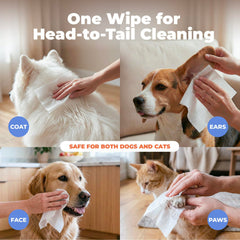 Best Pet Supplies gros plan des fibres épaisses illustrant durabilité et nettoyage en profondeur