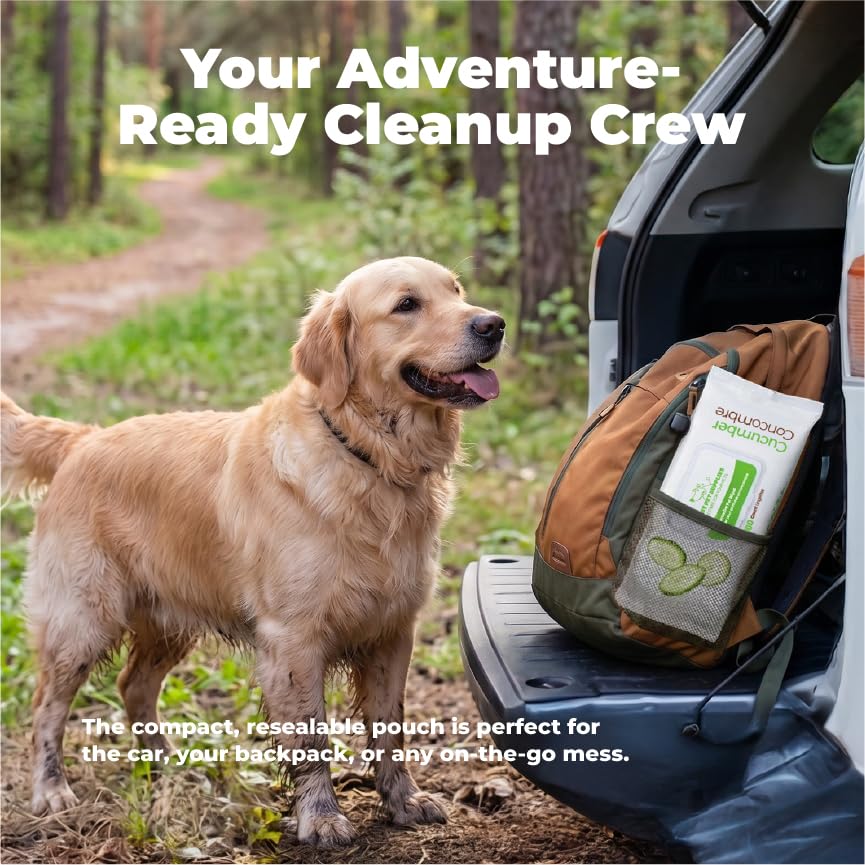 Best Pet Supplies lingette utilisée sur pattes apportant nettoyage et fraîcheur immédiate