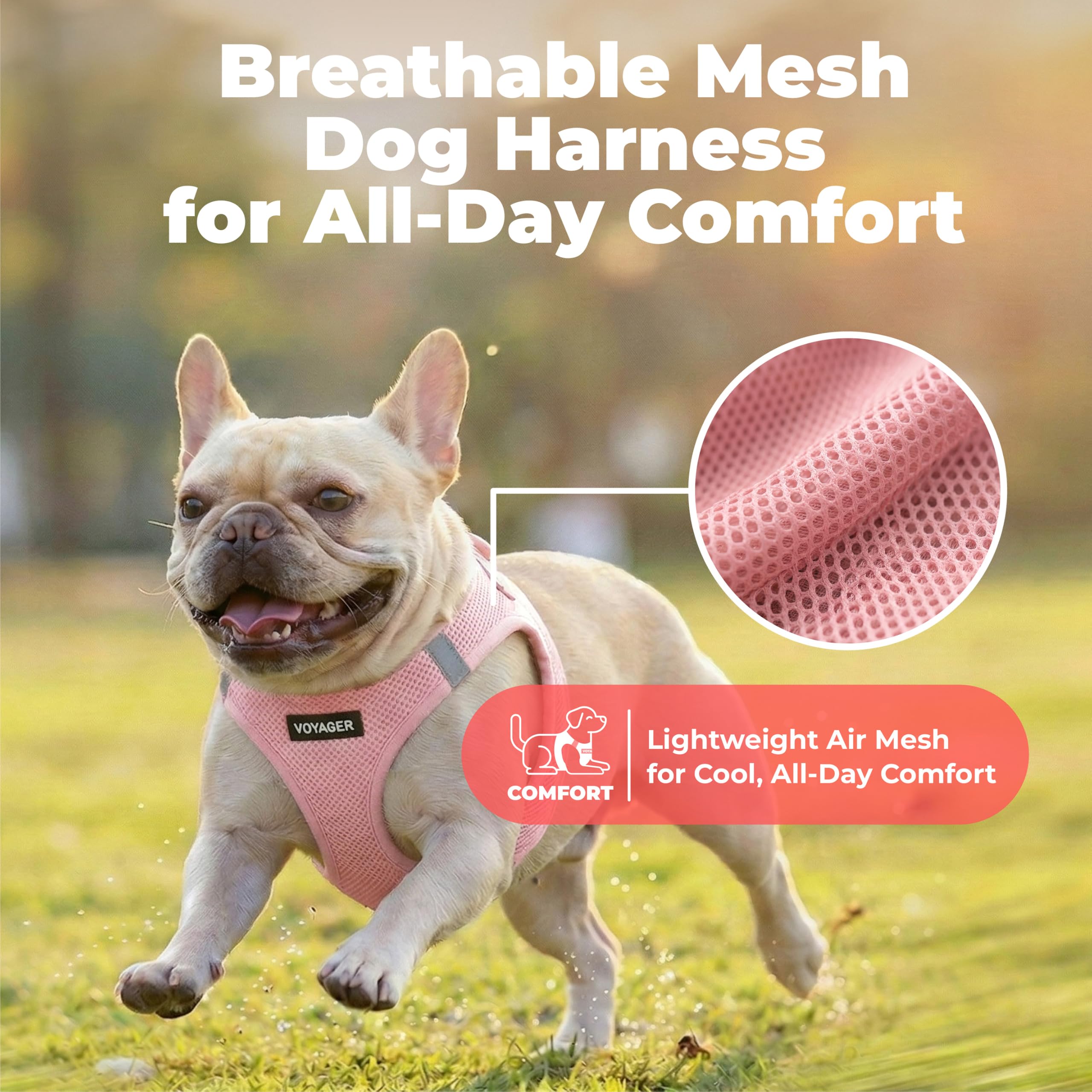 Best Pet Supplies bandes réfléchissantes visibles pour promenades sûres