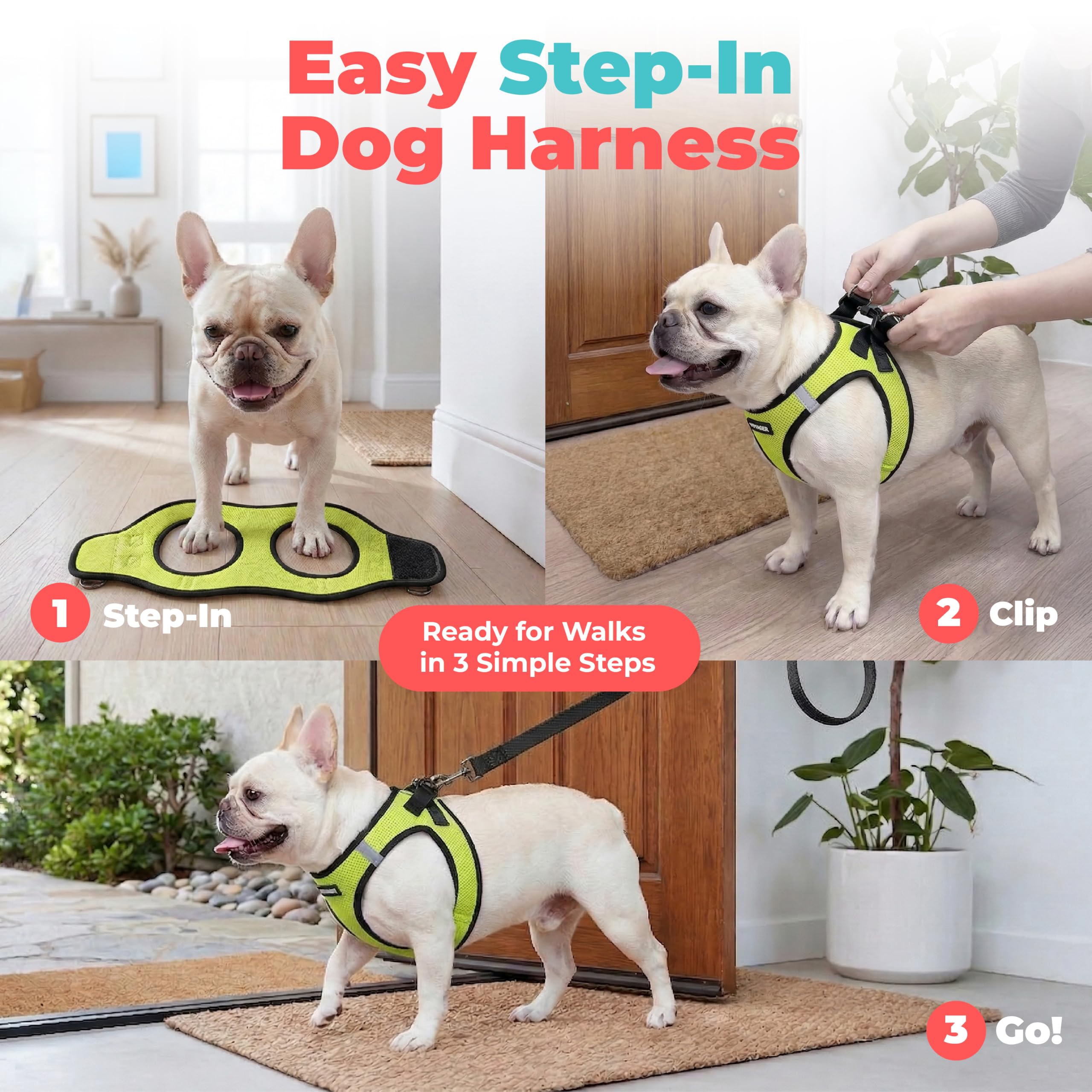 Best Pet Supplies fermeture boucle et scratch solidité pour maintien sûr