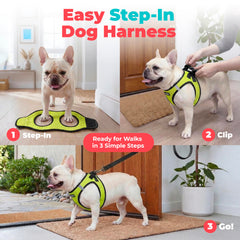 Best Pet Supplies fermeture boucle et scratch solidité pour maintien sûr