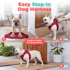 Best Pet Supplies détail boucle et velcro pour maintien sécurisé