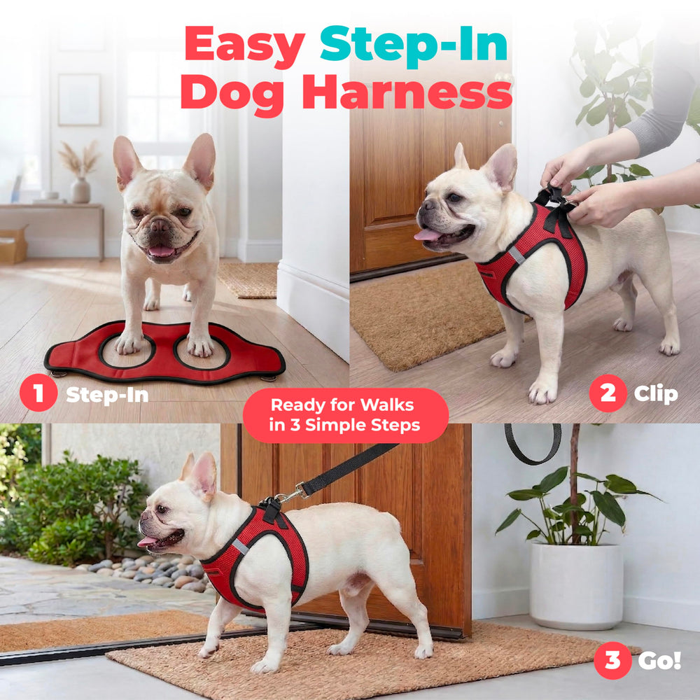 Best Pet Supplies boucles et anneaux doubles garantissant sécurité