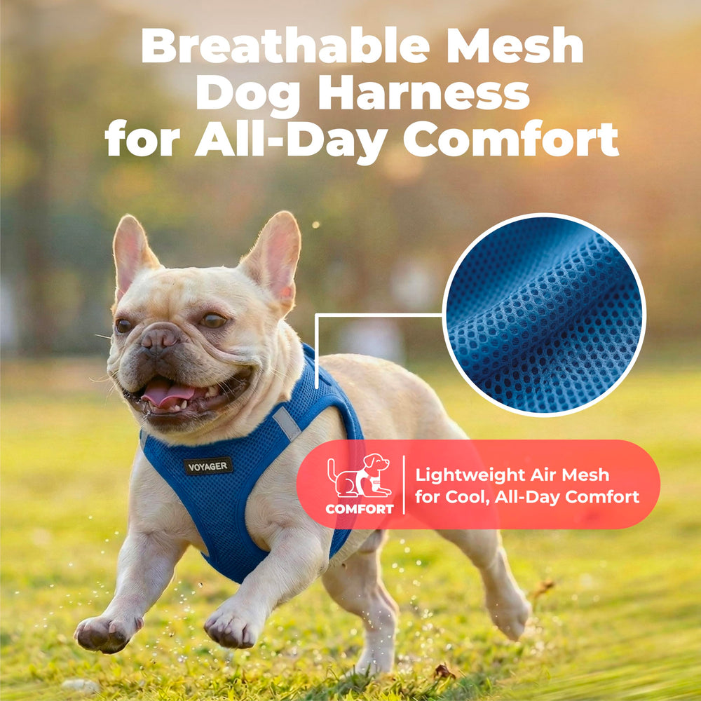 Best Pet Supplies détail de la boucle robuste pour fixation sûre