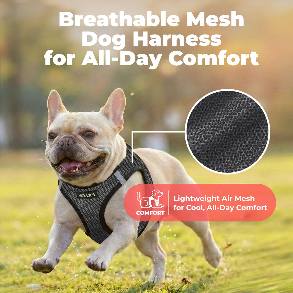 Best Pet Supplies chien enfilant harnais step-in pour mise en place facile