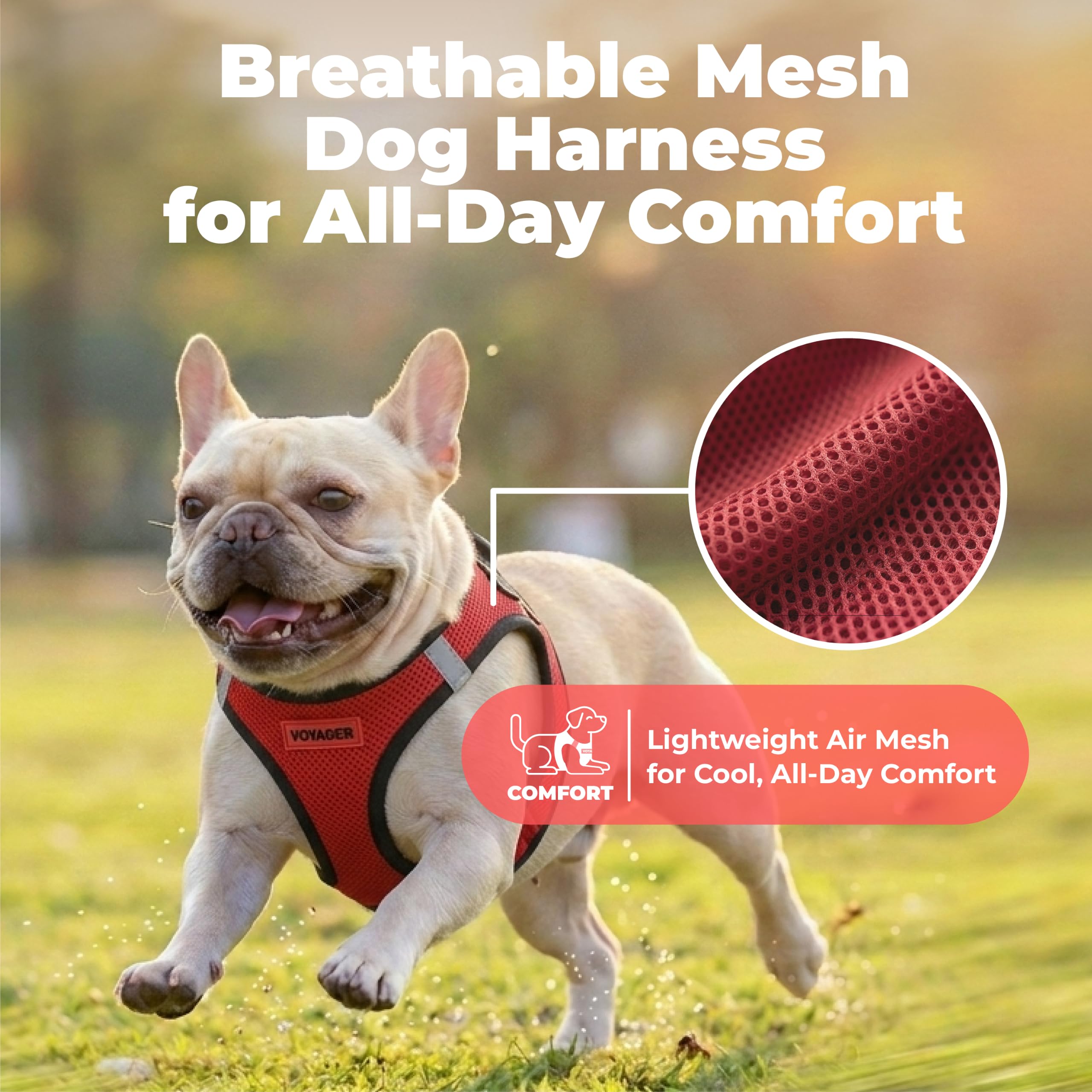 Best Pet Supplies chien enfilant facilement le harnais Step-in