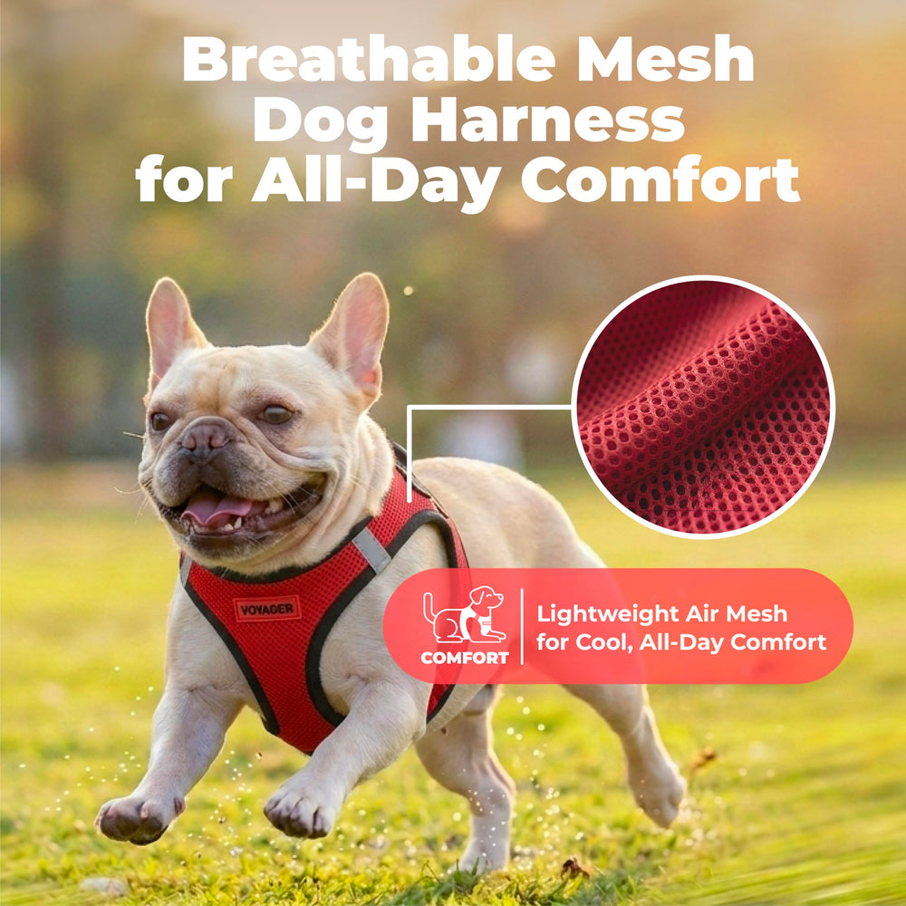 Best Pet Supplies chien enfilant facilement le harnais Step-in