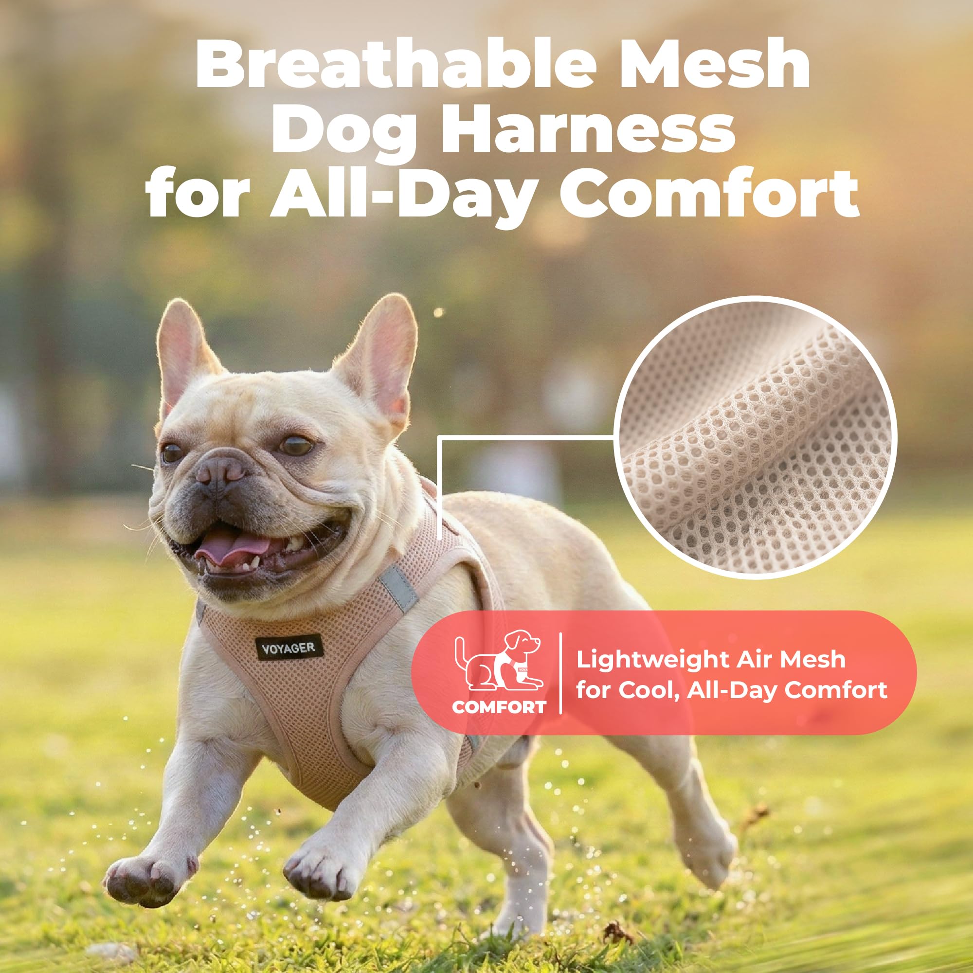 Best Pet Supplies chien marchant en enfila nt le harnais facilement