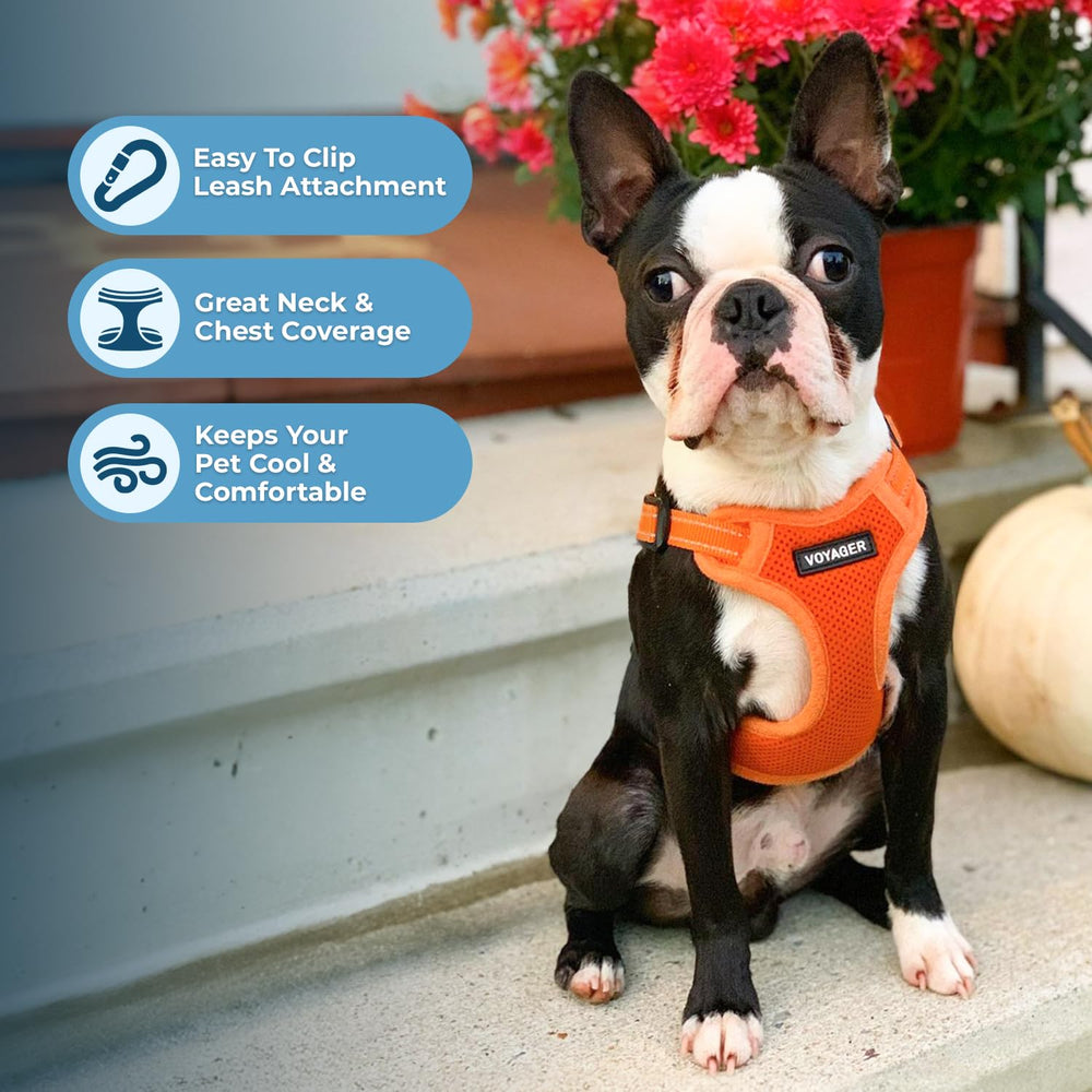Best Pet Supplies chien montant dans le harnais step-in pour facilité