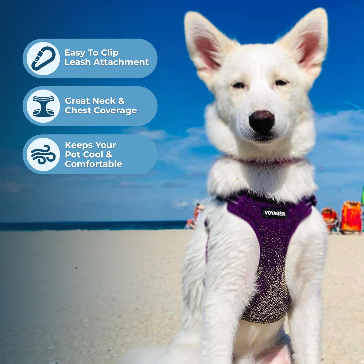 Best Pet Supplies harnais porté lors d’une promenade offrant contrôle et confort