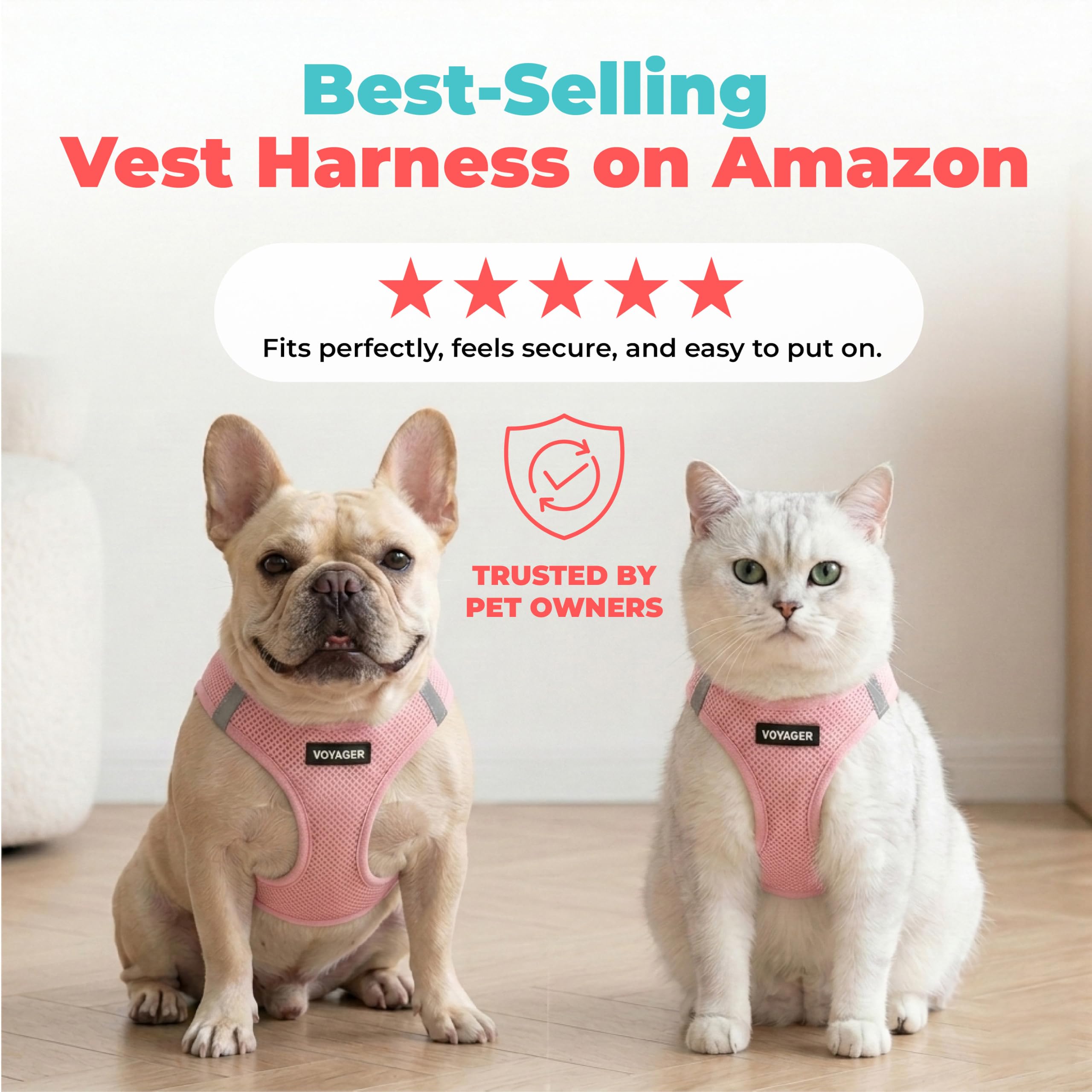 Best Pet Supplies petit chien portant harnais en promenade active