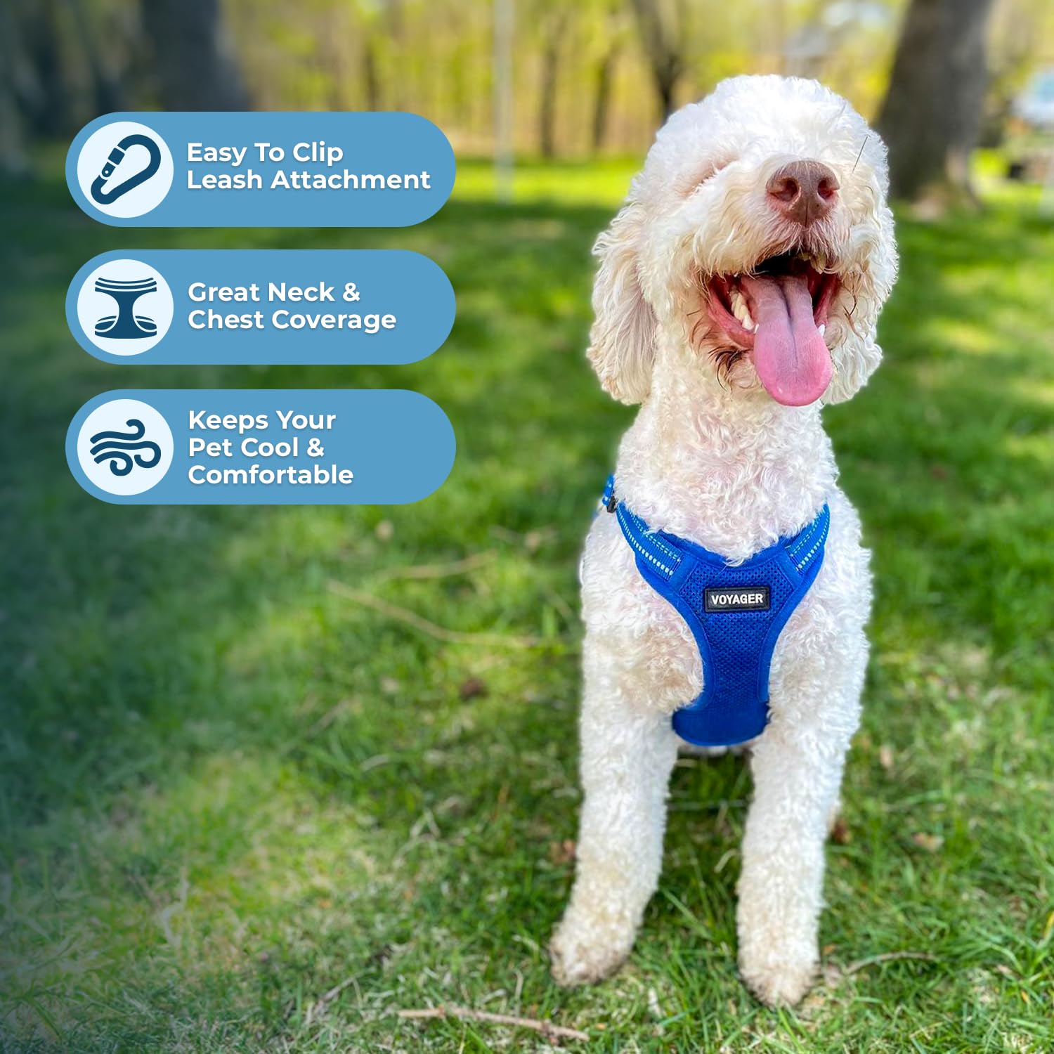 Best Pet Supplies chien marche enfilant le harnais step-in pour un départ sans stress