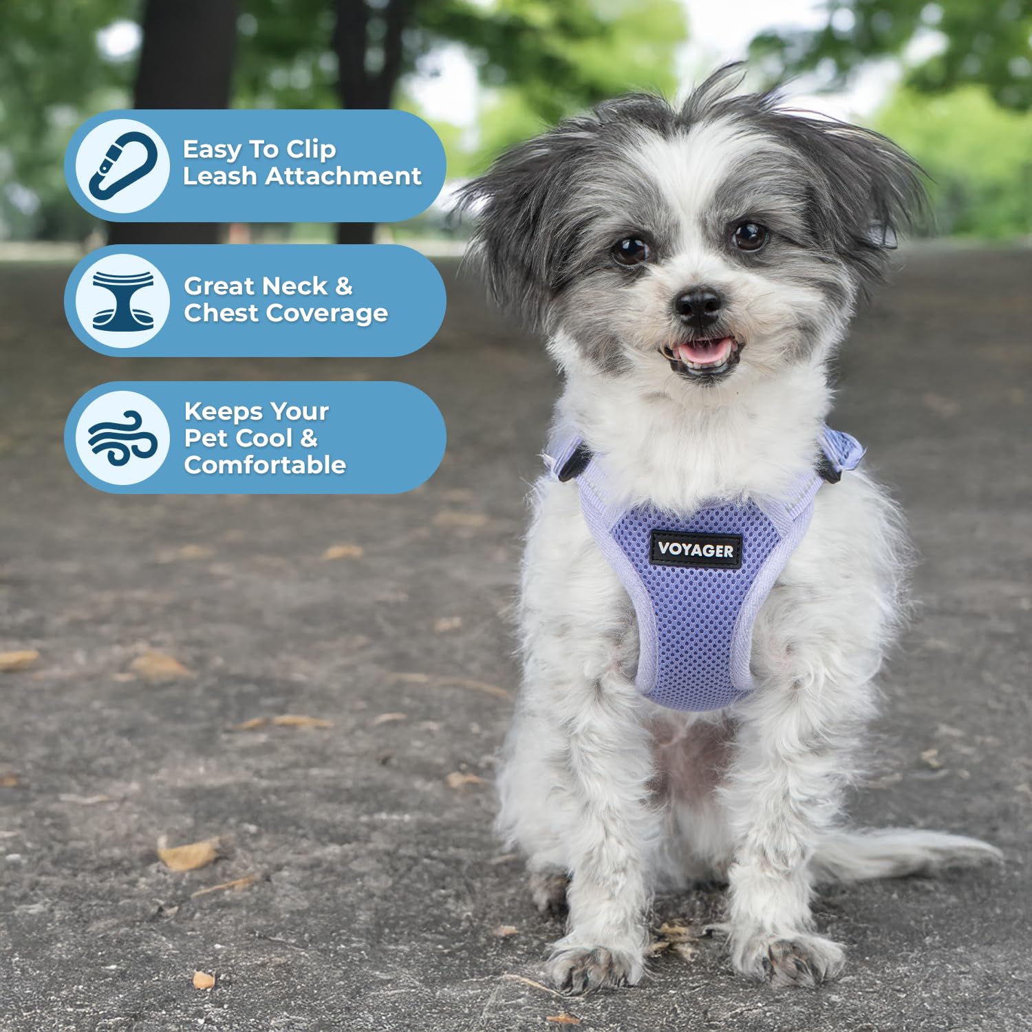 Best Pet Supplies détail arrière du harnais Voyager montrant la boucle sécurisée