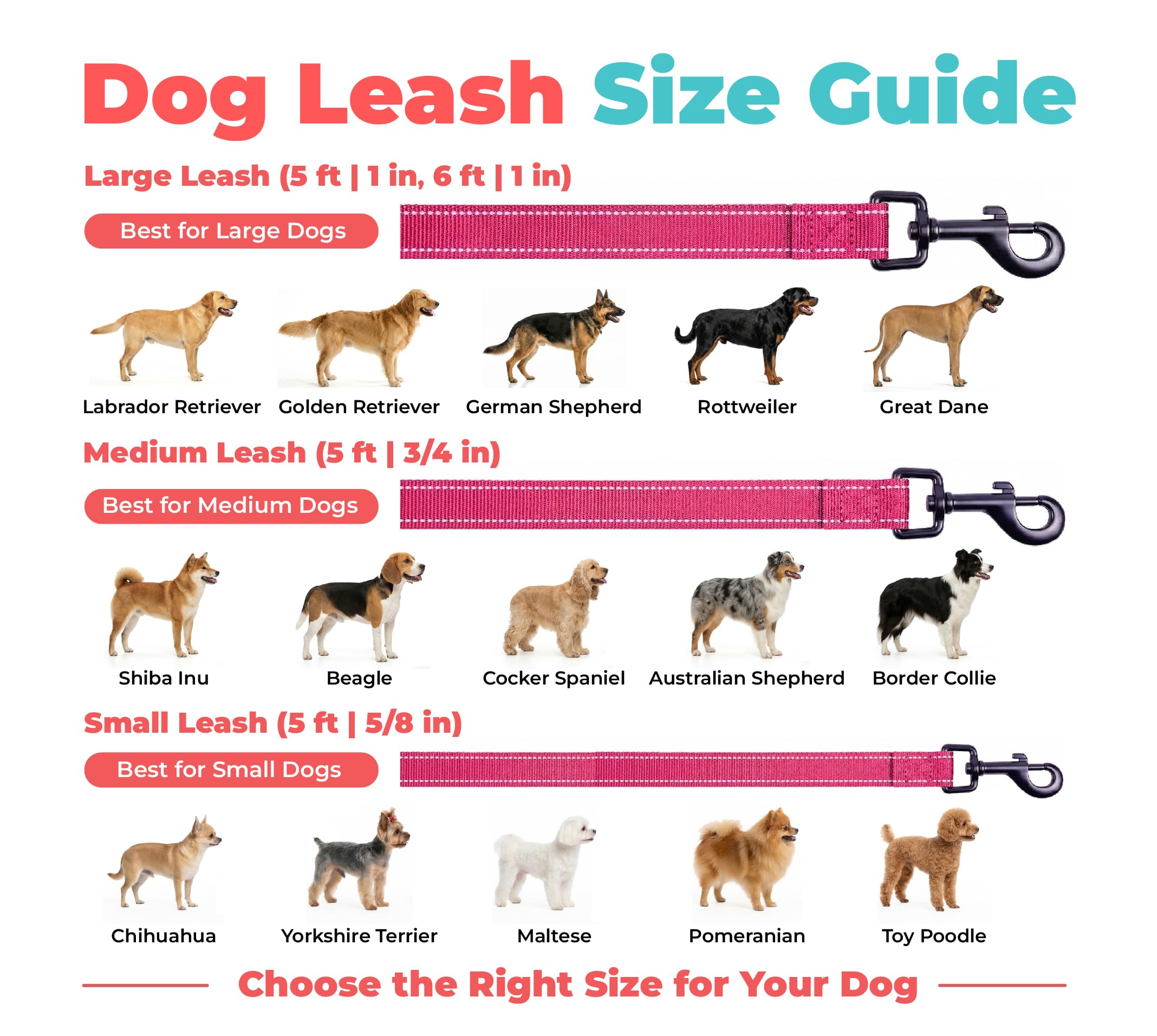 Best Pet Supplies Voyager comparaison d’échelle illustrant la longueur adaptée de 5 pieds
