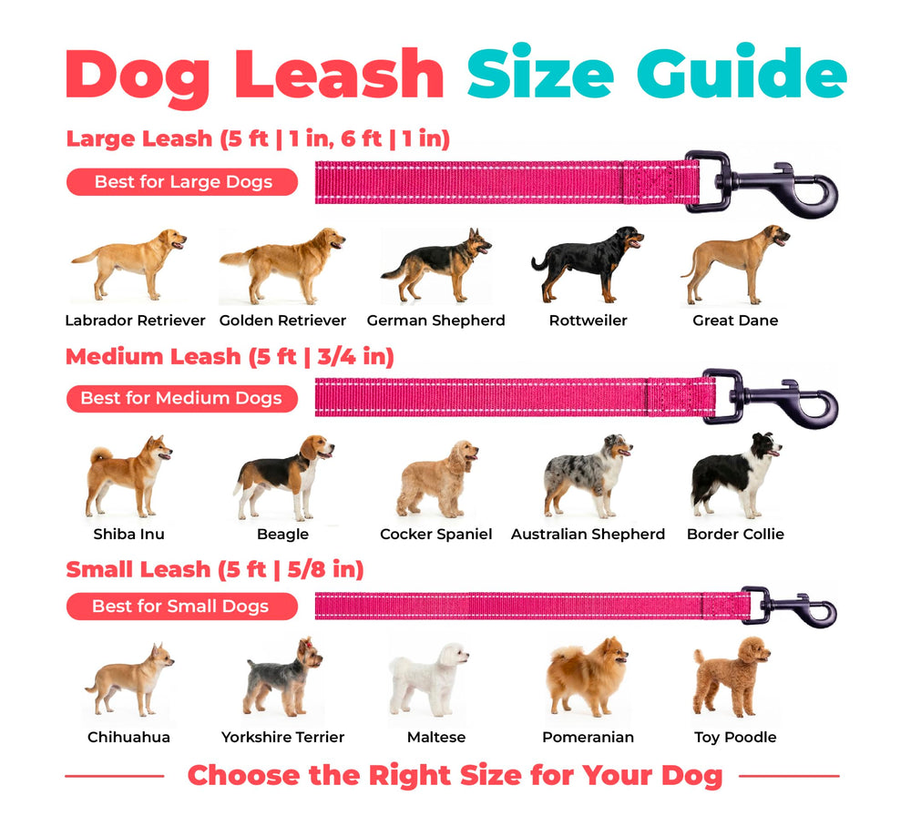 Best Pet Supplies Voyager comparaison d’échelle illustrant la longueur adaptée de 5 pieds
