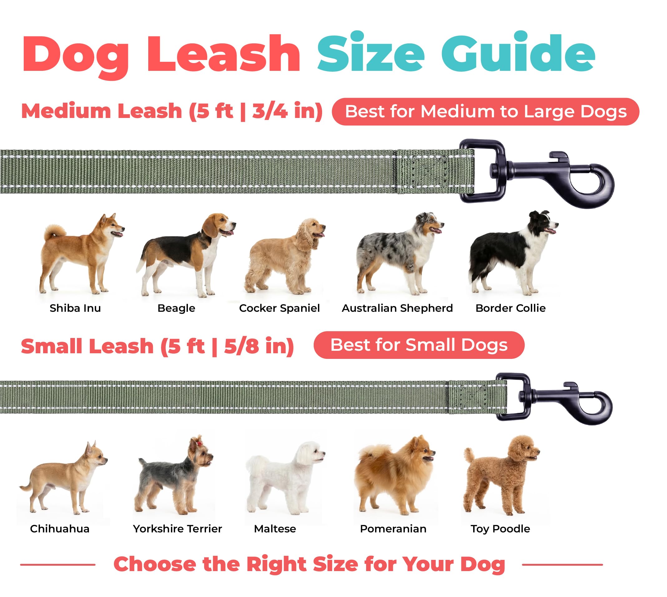 Best Pet Supplies comparaison taille small pour échelle et ajustement