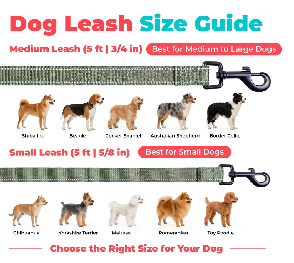 Best Pet Supplies comparaison taille small pour échelle et ajustement