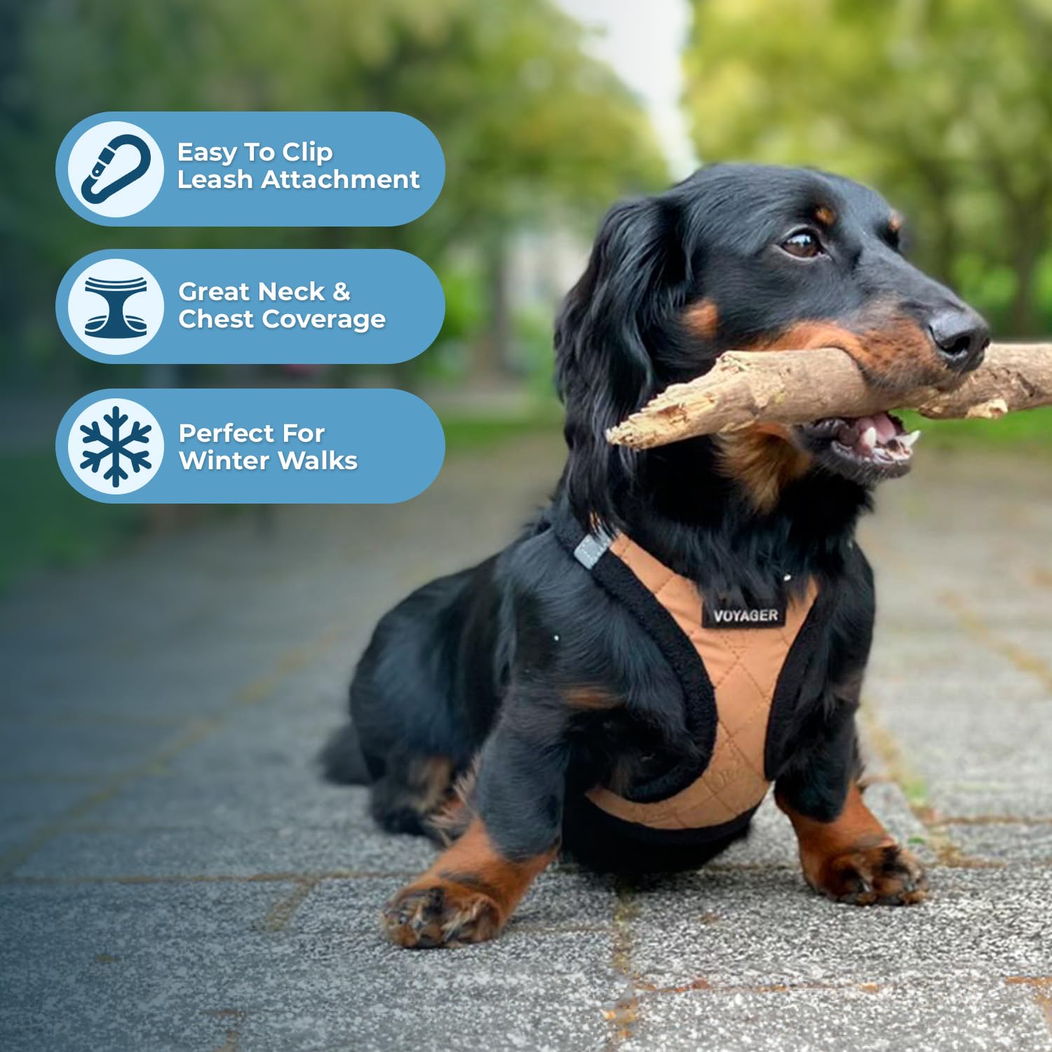 Best Pet Supplies harnais en promenade assurant maintien et liberté