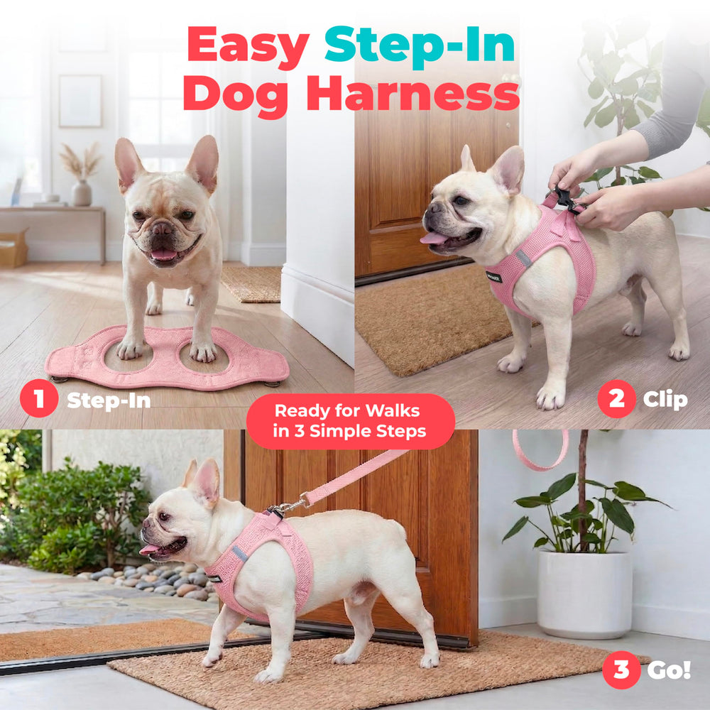 Best Pet Supplies bords souples et encolure assurant moins d'irritation