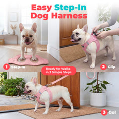 Best Pet Supplies bords souples et encolure assurant moins d'irritation