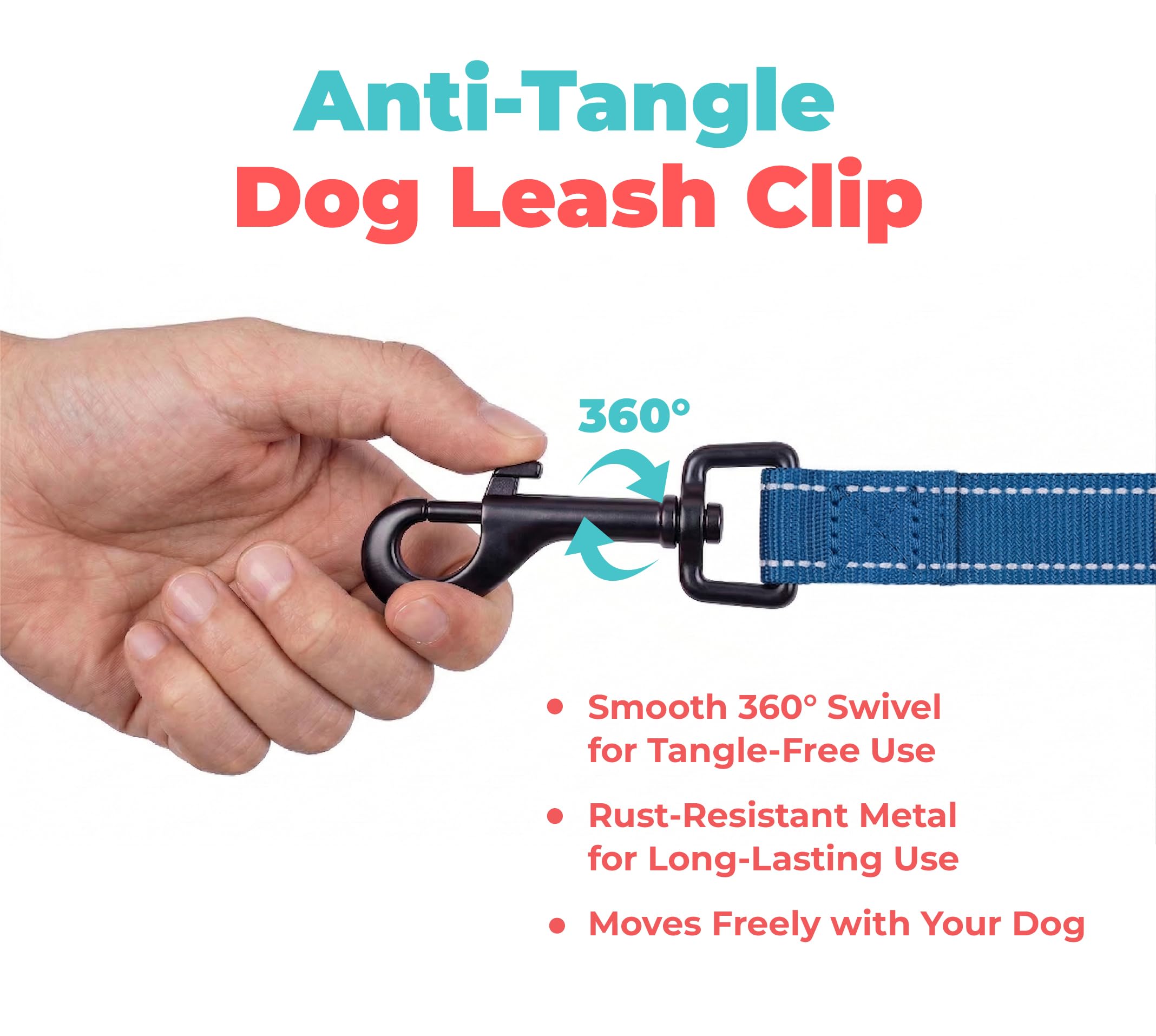 Best Pet Supplies laisse assortie à harnais Voyager, look coordonné pratique