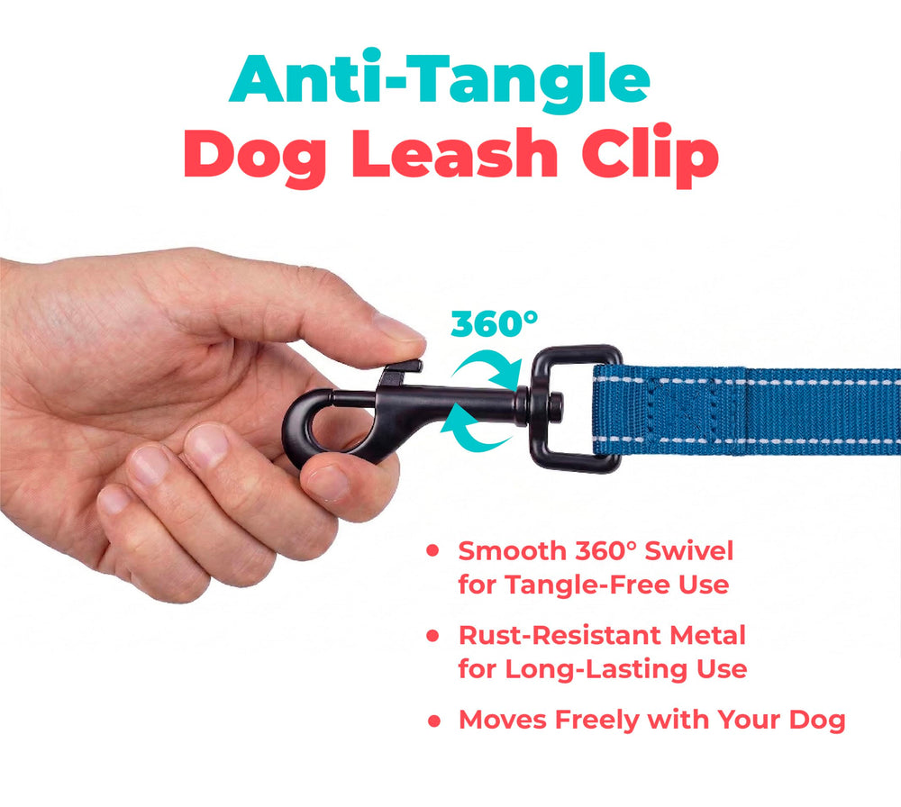 Best Pet Supplies laisse assortie à harnais Voyager, look coordonné pratique
