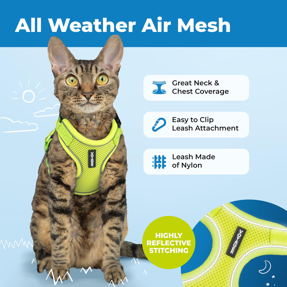 Best Pet Supplies fermeture et boucle robustes pour sécurité renforcée