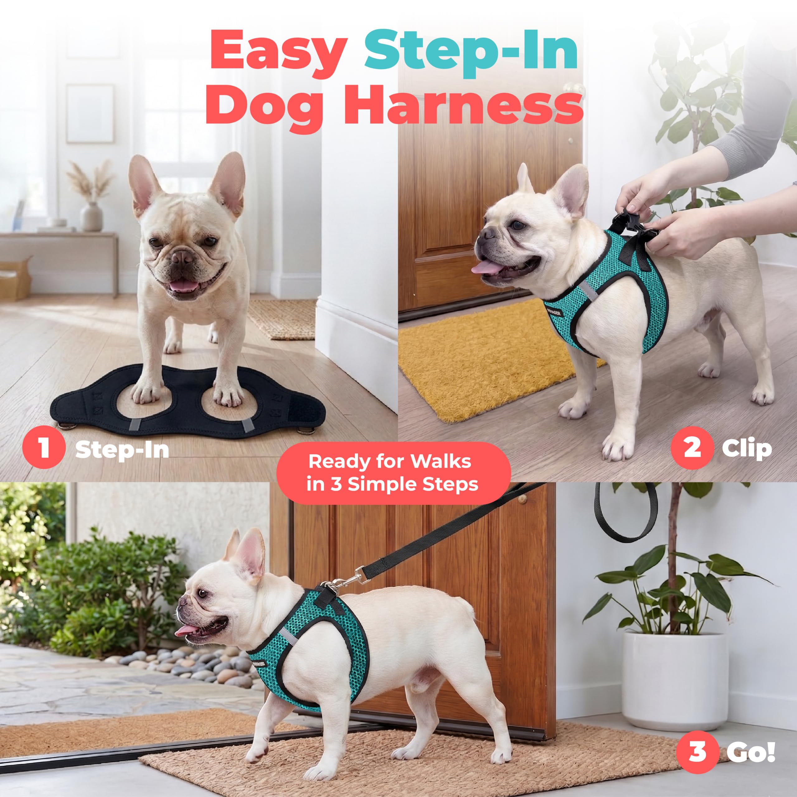 Best Pet Supplies bandes réfléchissantes augmentant sécurité nocturne