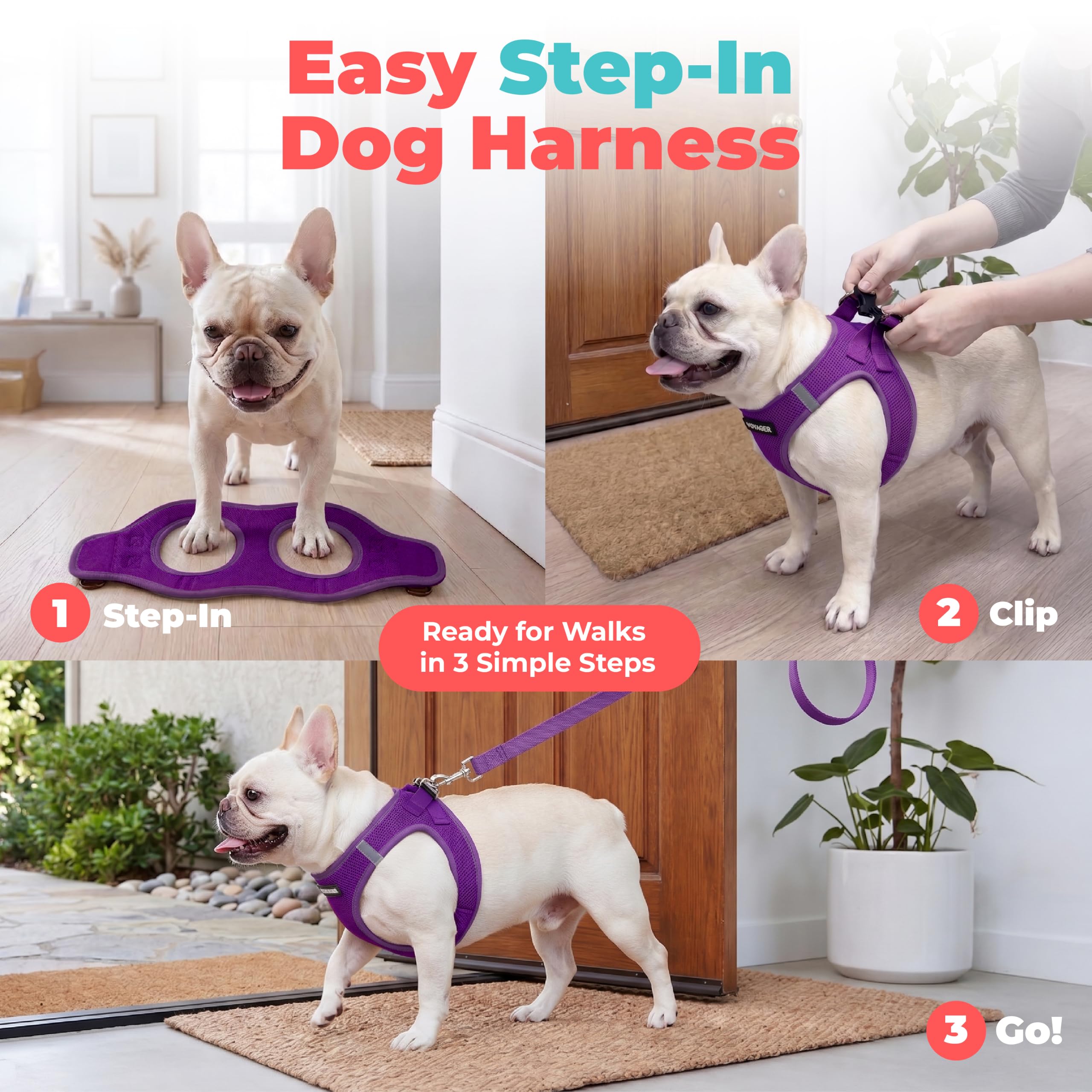 Best Pet Supplies harnais boucle et double anneau D pour sécurité