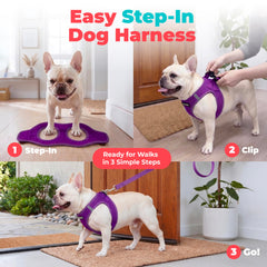 Best Pet Supplies harnais boucle et double anneau D pour sécurité