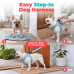 Best Pet Supplies détail de la boucle et fermeture velcro pour un enfilage rapide