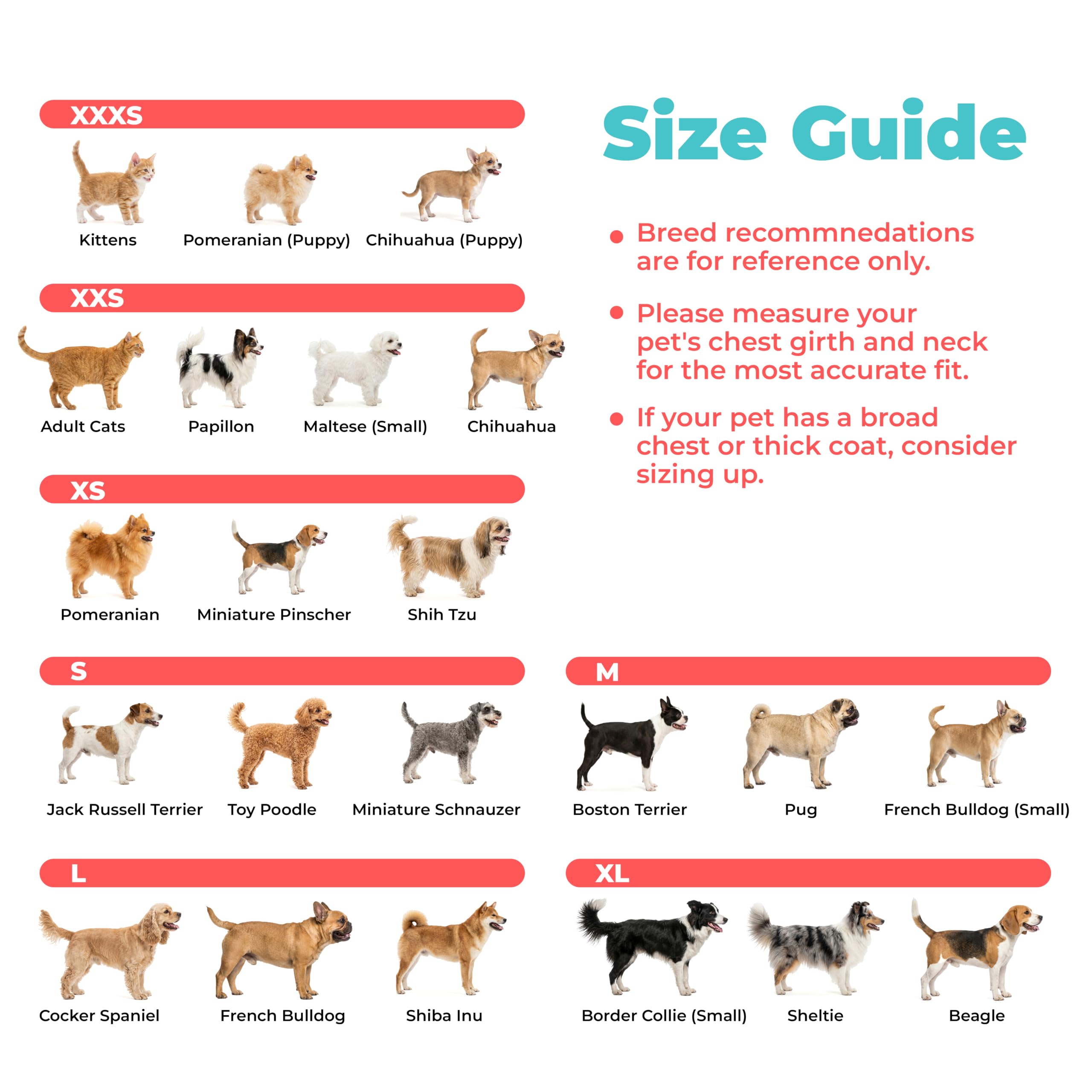 Best Pet Supplies harnais Voyager taille X-Small à côté d'une règle, échelle précise