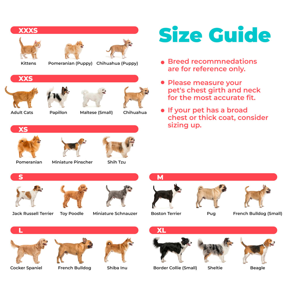 Best Pet Supplies harnais Voyager taille X-Small à côté d'une règle, échelle précise